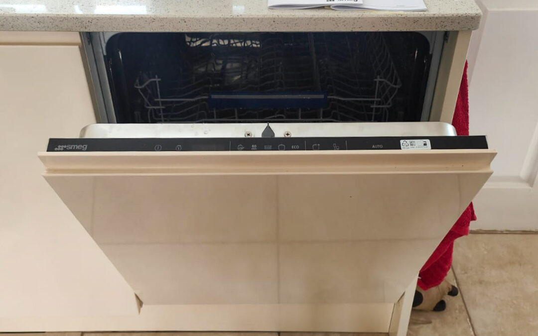 Dishwasher Leaking Water